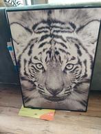 Tijger Print in Zwart-Wit, Ophalen of Verzenden, 50 tot 75 cm, Oorspronkelijke maker, 50 tot 75 cm