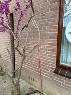 Ooievaar, Kinderen en Baby's, Ophalen