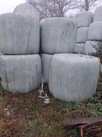 ronde balen hooi kuil, Ophalen of Verzenden, Vee