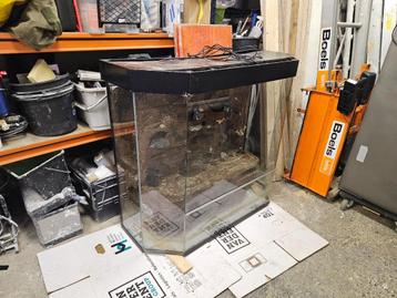 Paludarium, terrarium, reptielen/amfibiën verblijf beschikbaar voor biedingen