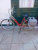 Gazelle punta damesfiets, Fietsen en Brommers, Fietsen | Dames | Damesfietsen, Ophalen, 53 tot 56 cm, Versnellingen, Zo goed als nieuw