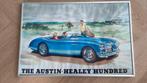 Austin healey 100-4 poster 60x40 cm ingelijst, Ophalen of Verzenden, Zo goed als nieuw, Overige typen