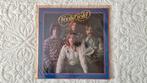 Fools Gold - Fools Gold LP (1976), Ophalen of Verzenden, 1960 tot 1980, Gebruikt, 12 inch
