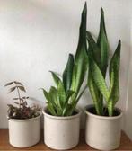 Leuke terracotta bloempotten bio kamerplanten vintage ‘60, Binnen, Ophalen of Verzenden, Zo goed als nieuw, Overige vormen