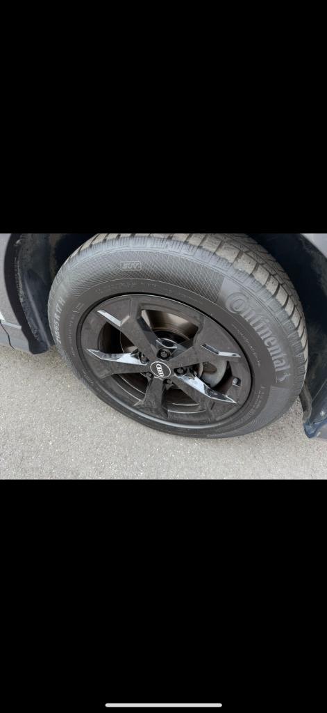 Audi Q3 17 Inch Audi Origineel winterset, Auto-onderdelen, Banden en Velgen, Banden en Velgen, Winterbanden, 17 inch, 215 mm, Gebruikt