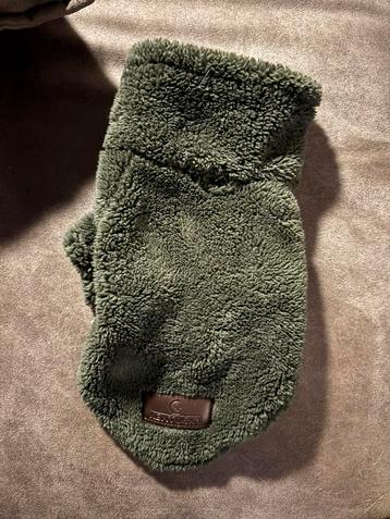 Kentucky teddy hondentrui, hondenjas in nieuwstaat beschikbaar voor biedingen