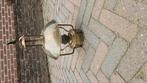 Koperen lamp, 12/24 volt, Watersport en Boten, Ophalen of Verzenden, Gebruikt