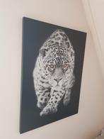 Schilderij van sneeuwpanter, Huis en Inrichting, Ophalen of Verzenden, Zo goed als nieuw, Schilderij, 75 cm of meer