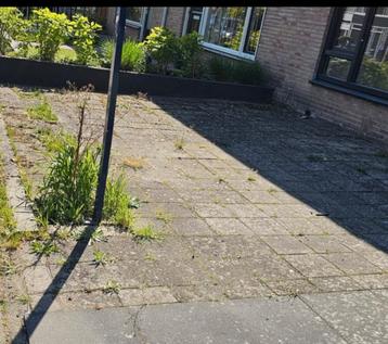 GRATIS ! 30M2 STOEPTEGELS beschikbaar voor biedingen