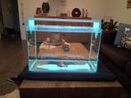 Superfish home 60ltr, Ophalen of Verzenden, Zo goed als nieuw, Leeg aquarium