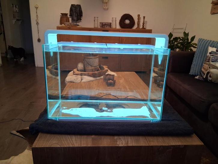 Superfish home 60ltr, Dieren en Toebehoren, Vissen | Aquaria en Toebehoren, Zo goed als nieuw, Leeg aquarium, Ophalen of Verzenden