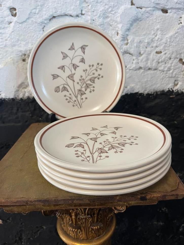Set 6 vintage seventies ontbijtborden Biltons England bloem, Huis en Inrichting, Keuken | Servies, Gebruikt, Bord(en), Overige stijlen