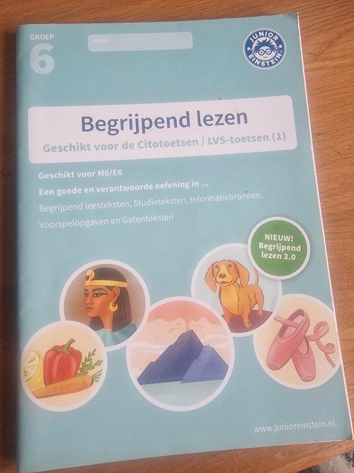 Begrijpend Lezen Cito Groep 6 - Deel 1, Boeken, Schoolboeken, Zo goed als nieuw, Nederlands, Overige niveaus, Ophalen of Verzenden