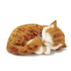 Perfect petzzz poes oranje/wit ademt 'echt', Ophalen of Verzenden, Nieuw, Poes