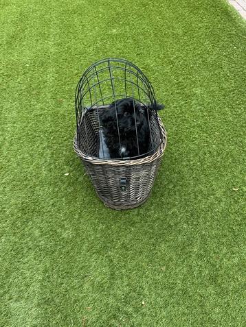 Honden fietsmand merk trixie beschikbaar voor biedingen