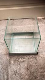 Vissekom aquarium  20x20x20, Ophalen of Verzenden