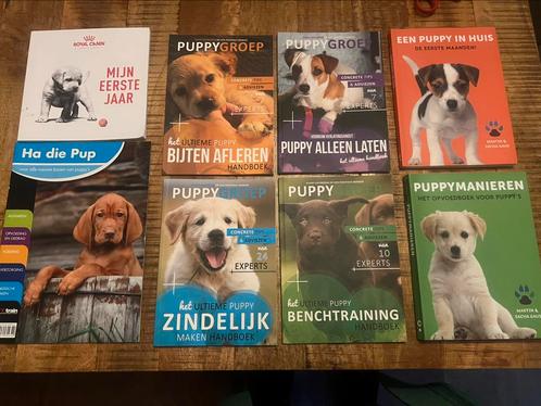 Opvoed en training voor Puppy’s. Puppygroep nl, Martin Gaus, Boeken, Dieren en Huisdieren, Zo goed als nieuw, Honden, Ophalen of Verzenden