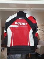 Ducati leren jas Alpinestars Speed Evo C1 z.g.a.n. maat 52, Motoren, Kleding | Motorkleding, Ophalen, Tweedehands, Jas | leer