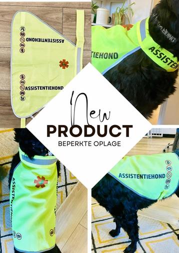 Reflecterend Hulphonddekje – Fluorgeel (sublimatie) beschikbaar voor biedingen