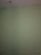 Vloerenlegger & Schilder, Laminaat of Parket