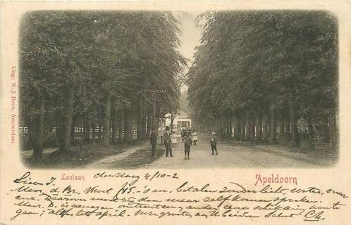 (300-464-045) Apeldoorn Loolaan, Verzamelen, Ansichtkaarten | Nederland, Gelderland, Verzenden