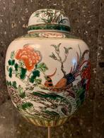 Een Chinese famille verte gemberpot met deksel, Ophalen of Verzenden