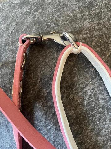 Leren hondenriem, kleur roze beschikbaar voor biedingen