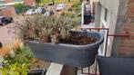 Grijze Elho plantenbak met haken voor balkon, Ophalen, Kunststof, Minder dan 30 cm, Balkon