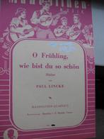 Paul Lincke - O Frühling, wie bist du so schön, Muziek en Instrumenten, Bladmuziek, Gebruikt, Banjo of Mandoline, Ophalen of Verzenden