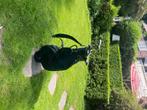 Golfset, Sport en Fitness, Golf, Ophalen of Verzenden, Gebruikt, Set, Overige merken