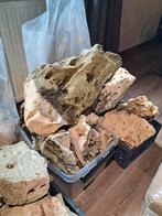 Moet weg!! White Moon stone, Ophalen of Verzenden, Zo goed als nieuw, Plant(en), Steen of Hout