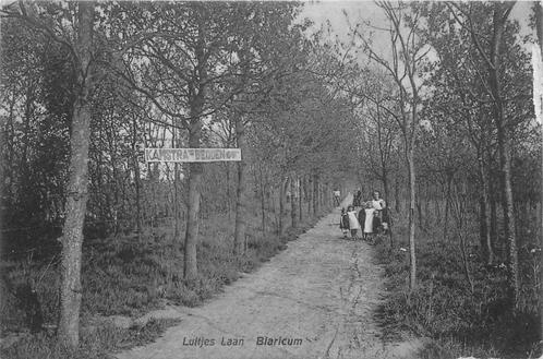 (701-042-043) Blaricum Luitjes Laan, Verzamelen, Ansichtkaarten | Nederland, Noord-Holland, Verzenden