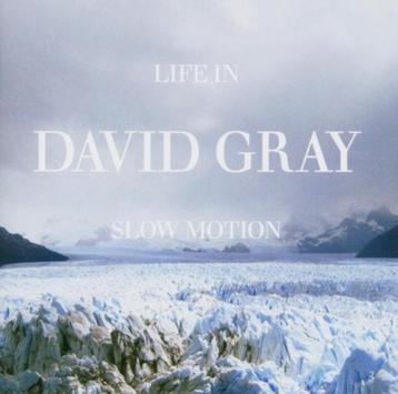 David Gray - Life in Slow Motion beschikbaar voor biedingen