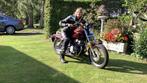 Honda Rebel 250 cc twin, 250 cc, 2 cilinders, Chopper, Particulier