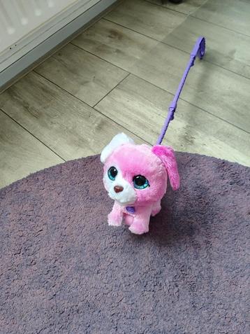 Für real hondje beschikbaar voor biedingen