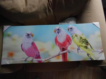 canvas 3 parkieten beschikbaar voor biedingen