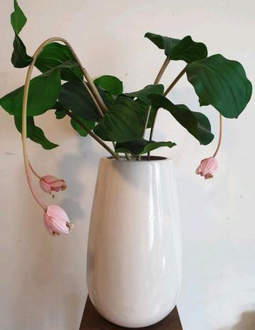 Mooi medinilla bloemstuk, kunstbloemen incl vaas  beschikbaar voor biedingen