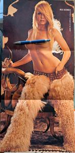 Poster Playboy playmate Mercy Rooney December 1972, Rechthoekig Staand, Verzenden, Deurposter of groter, Zo goed als nieuw
