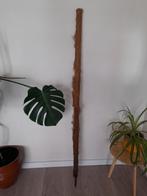 Mosstok 175 cm., Ophalen, Overige soorten, 150 tot 200 cm