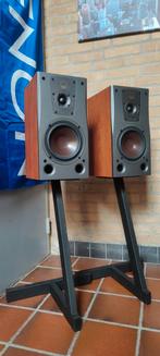 Dali Concept 2 Boekenplank luidsprekers Kersen + Stands., Zo goed als nieuw, 60 tot 120 watt, Front, Rear of Stereo speakers, Ophalen