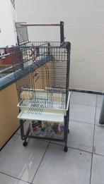 Te koop mooie grote papegaaien kooi of vogelkooi, Ophalen, Zo goed als nieuw, Metaal, Vogelkooi