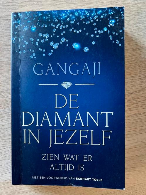 Gangaji - De diamant in jezelf, Boeken, Esoterie en Spiritualiteit, Zo goed als nieuw, Ophalen of Verzenden
