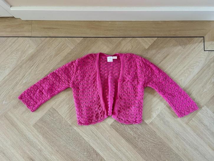 *NIEUW!* Roze gehaakt vestje van Zara, maat 110 / 116, Kinderen en Baby's, Kinderkleding | Maat 110, Nieuw, Meisje, Trui of Vest
