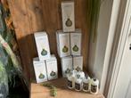 Partij met 8 glazen reed diffusers en 6 flesjes olie, Ophalen, Nieuw