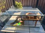 Terrarium, Dieren en Toebehoren, Ophalen, Zo goed als nieuw, Minder dan 75 cm, Minder dan 60 cm