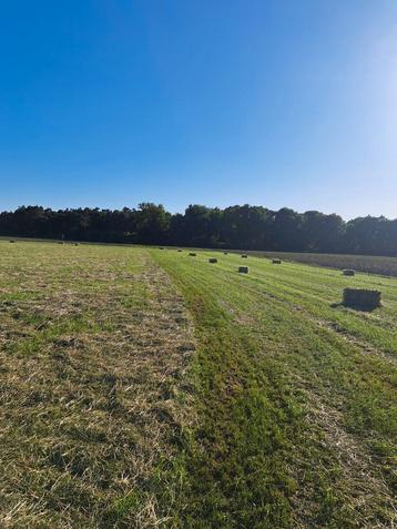 Kleine pakjes hooi. 2025 eerste snee beschikbaar voor biedingen