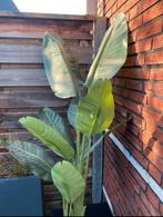 Strelitzia Nicolai - kunstplant., Huis en Inrichting, Ophalen, Zo goed als nieuw