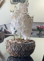 Schelpenvaas, Huis en Inrichting, Overige kleuren, Ophalen of Verzenden, Minder dan 50 cm, Glas
