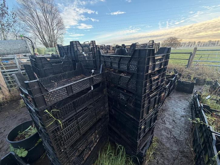 Kweek potjes p9 en groter en veenmankisten, Tuin en Terras, Kweekspullen, Gebruikt, Kweekbak, Ophalen