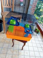 Mooie Hamster Kooi, Dieren en Toebehoren, Kooi, Zo goed als nieuw, Ophalen, Minder dan 60 cm